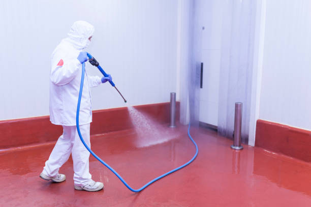 Best Deck and Patio Pressure Washing in Byron, IL