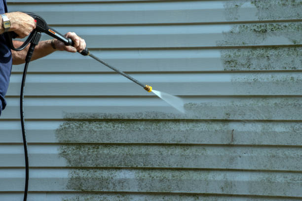 Best Pool Deck Cleaning in Byron, IL